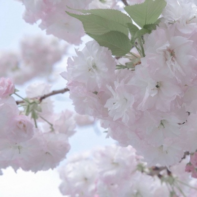 兽设场景透视教程FurryQQ群